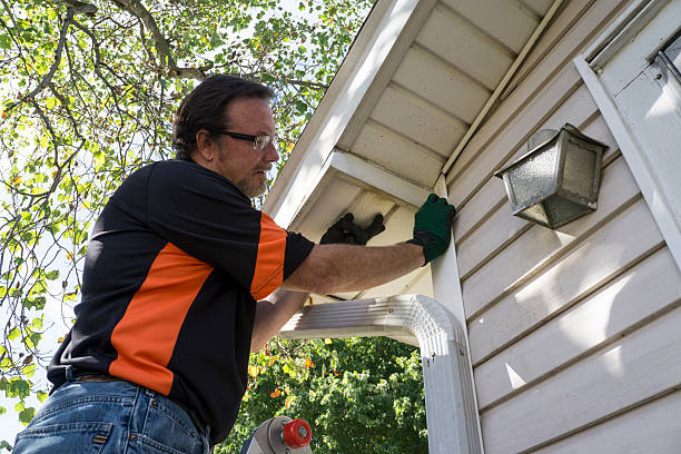 Best Historical Building Siding Restoration  in New Madrid, MO